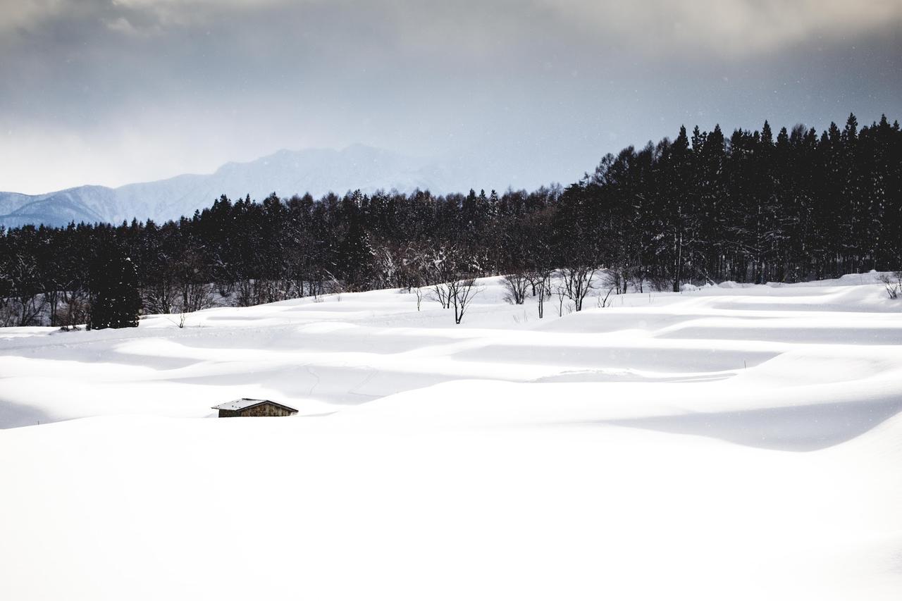 Otari Hakuba Cortina Lodge מראה חיצוני תמונה