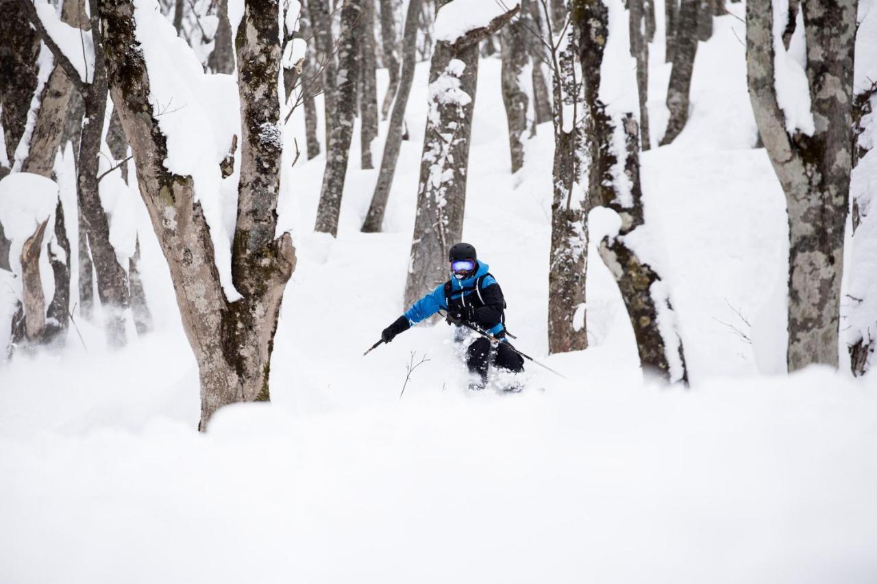 Otari Hakuba Cortina Lodge מראה חיצוני תמונה